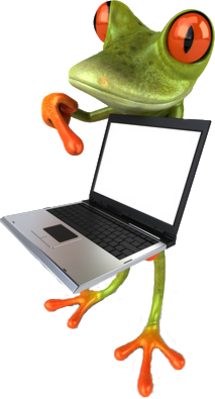 frosch-laptop